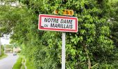 Trail Walking Mauges-sur-Loire - Saint Florent le Vieil  - Photo 6