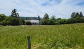 Tour Wandern Bastnach - Bastogne Mesa 280624 - Photo 12