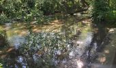 Randonnée Marche Valorbiquet - la rando des lavoirs  - Photo 12