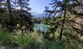 Tour Wandern Servoz - lac Vert,le chatelet,chalets de souay,Ayeres pierreries - Photo 14