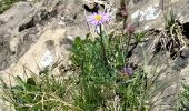 Tour Wandern Saint-Jean-d'Aulps - Roc d'Enfer au départ de Graydon - Photo 6