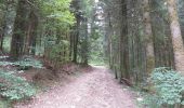 Trail Walking Pontarlier - FORT MALHER DEPUIS LE CAMPING DU LARMONT - Photo 5