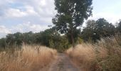 Percorso Marcia Flémalle - entre Sous les Roches et Aigremont  - Photo 3