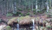 Excursión Senderismo La Bresse - les Champis  - Photo 12