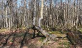 Trail Walking Spa - sauvenière . tour berinzenne . tahanfagne . sauvenière - Photo 19