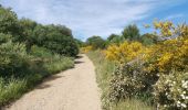 Trail Walking Collioure - Collioure-le racou - Photo 2