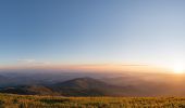 Trail On foot Ventasso - Casalino - Prati di Sara - Le Prese - Monte Cusna - Photo 10