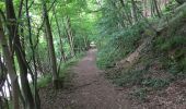 Trail Walking Montigny-le-Tilleul - BE-Montigny-le-Tilleul - Landelies - Aulne - 2 - Photo 10