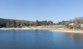 Tocht Te voet Waimes - Robertville: Pont de Haelen - Airheid - Barrage - Photo 4