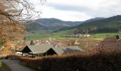 Percorso A piedi Elzach - Elzach - Biereck - Photo 6