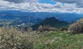Excursión Senderismo Val-Buëch-Méouge - Crête de l'âne, des Planes et Roc de Gloritte Via Plaugiers - Photo 11