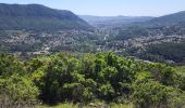 Excursión Senderismo Le Revest-les-Eaux - source de la Ripelle, oppidum de vieille valette  - Photo 1