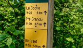 Tour Wandern Saint-Agnan-en-Vercors - Les Rancs de Charles - Vercors - La Coche - Photo 19