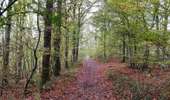 Tour Wandern Profondeville - Promenade des 7 meuses  - Photo 18