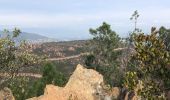 Tour Wandern Saint-Raphaël - Les grues et le Mont St Martin depuis le col Notre Dame - Photo 5