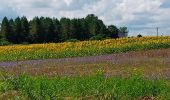 Randonnée Marche Vernoil-le-Fourrier - Vernantes  - Photo 5