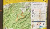 Trail Trail Petit-Bourg - La boucle de tambour  - Photo 1