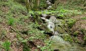 Excursión Senderismo Tournavaux - Blossette la gyre et la lyre - Photo 4