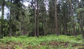 Trail Walking Spa - les eaux au sud de Spa  - Photo 19