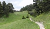 Excursión Senderismo Châtillon-en-Diois - Vallon de Combau - Pas de l'Aiguille - Photo 1