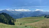 Tocht Trail Saint-Jean-de-Maurienne - Saint jean de Maurienne - Le Grand Chatelard - Photo 6