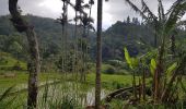 Tour Wandern Bandarawela - Sri-10 Bandarawela  - Iddalgasinne - Bambarakanda - Lyangahawela - Photo 2