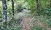 Trail Mountain bike Virton - Stockfontaine  -  Balade_VTT_24kms - Photo 16