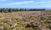 Tocht Stappen La Panouse - la Panouse Roc de Fenestre  Col des 3 soeurs - Photo 5