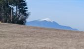 Trail Walking Banon - BANON. LE GRAU DU BANE .LE VIEUX REDORTIERS  O S - Photo 8