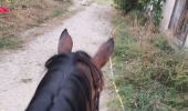Trail Horseback riding Fronton - Trec 2 à valider - Photo 3