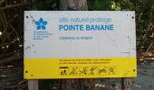 Percorso Marcia Le Robert - Pointe Banane - Photo 5