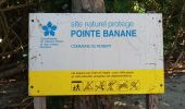 Tour Wandern Le Robert - Pointe Banane - Photo 5