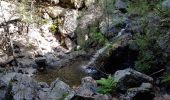 Randonnée Marche Val-d'Aigoual - Cascade d'Orgon depuis Cap de Côte - vue Mont Aigoual - Photo 9