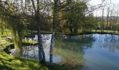 Randonnée Marche Saint-Jean-le-Vieux - forêt de Saint Jean - Photo 12