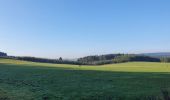 Tocht Stappen La Roche-en-Ardenne - rando samrée 26/11/2020 - Photo 15