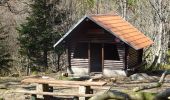 Trail Horseback riding Mollkirch - 2019-03-31 Picnic CVA Neuntelstein - Photo 1