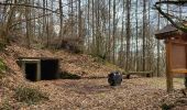 Tour Wandern Ronchamp - Ronchamp - Chapelle ND du Haut - sentier de l'Etançon (puits de mines) - Photo 15