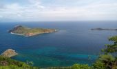 Trail Walking Terre-de-Haut - Les Saintes - J2 - Photo 14