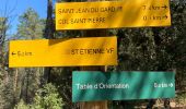 Trail Walking Saint-Étienne-Vallée-Française - Le Martinet - Photo 2