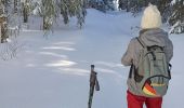 Trail Snowshoes La Pesse - L'Embossieux - Les Planes - Photo 5