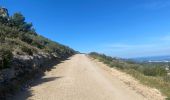 Trail Walking Marseille - Les calanques de Cassis . Sugiton Morgiou.Sormiou - Photo 4