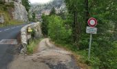 Trail Walking Gorges du Tarn Causses - ste enimie - la Malene - Photo 2