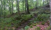 Tour Zu Fuß Tübingen - Geologischer Lehrpfad - Photo 6