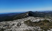 Tocht Stappen Plan-d'Aups-Sainte-Baume - la sainte beaume  - Photo 5