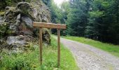Trail Walking Kruth - Autour du lac de Kruth-Wildenstein - Photo 16