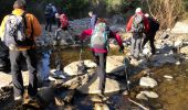 Trail Walking Tanneron - Massif du Tanneron - Bois de Callian - Photo 9