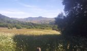 Tocht Lopen Le Lac-d'Issarlès - lac d'issarles et plus - Photo 3