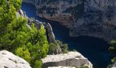 Tocht Stappen Marseille - Calanque d'en Vau - Photo 19