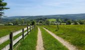 Trail Walking La Roche-en-Ardenne - Sanree 300523 - Photo 12