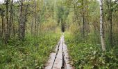 Percorso A piedi Jyväskylä - Sippulanniemen luontopolku - Photo 3